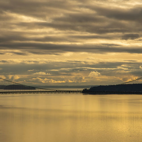Discovering Real Estate Treasures at the Belfair Oyster Festival