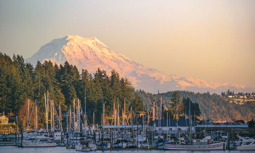 Understanding Buyer Reactions in Mason and Kitsap County by Market &hellip;