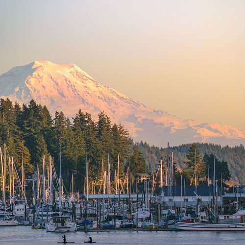 Understanding Buyer Reactions in Mason and Kitsap County by Market Trends
