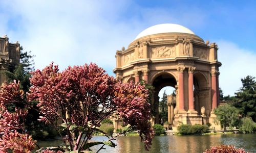 San Francisco Market Update | July 2026