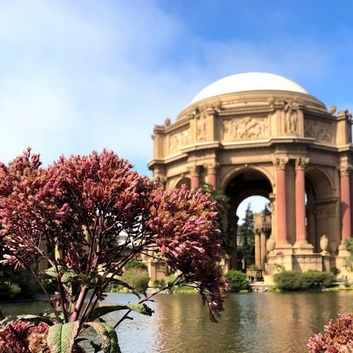 San Francisco Market Update | July 2026