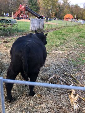 56174027937__1CA6BA74-7A7F-4F86-B3F1-235D5E849C7B_1