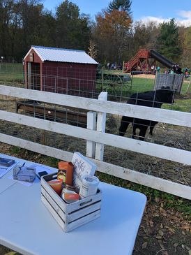 56174029231__A165D0A8-E59A-4CEB-AFC7-65A88AAB1C41