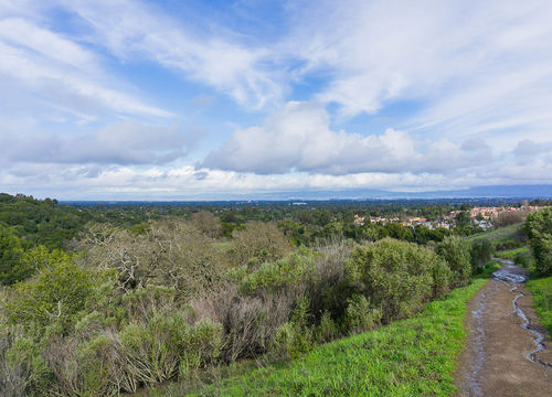 Panoramic view in Rancho San Antonio county park on a stormy day