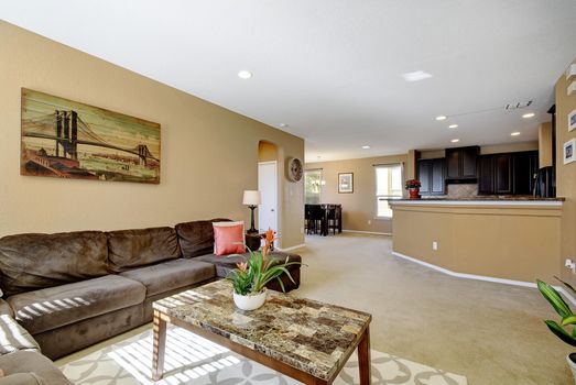 005-404260-1311 Prarie Grass_003_11007967