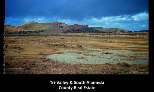 Tri-Valley & South Alameda County - January 2023 …