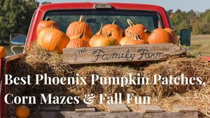 Best Phoenix Pumpkin Patches, Corn Mazes, & Fall Fun