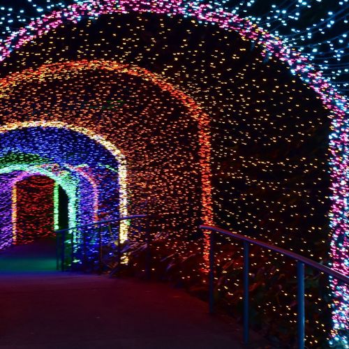 Best Holiday Lights In Phoenix