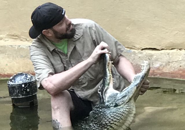 Man with Aligator