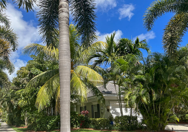Wilton Manors Tropical Landscape Covering Modern Home