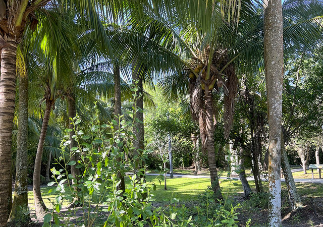 Wilton Manors Tropical Foliage Park