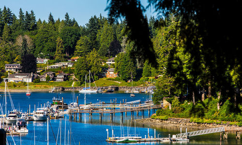 Bainbridge Island