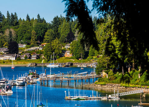 bainbridge_284465210