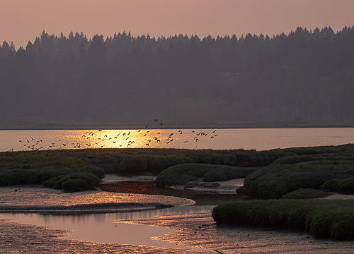 belfair_239090334-(1)