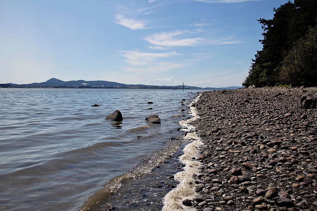 Indianola Dale Walters Real Estate