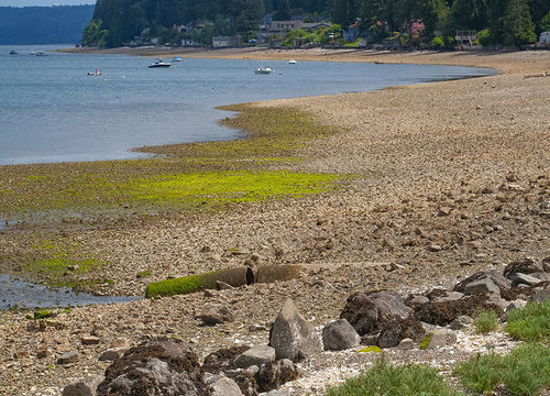 seabeck_113274432-(1)