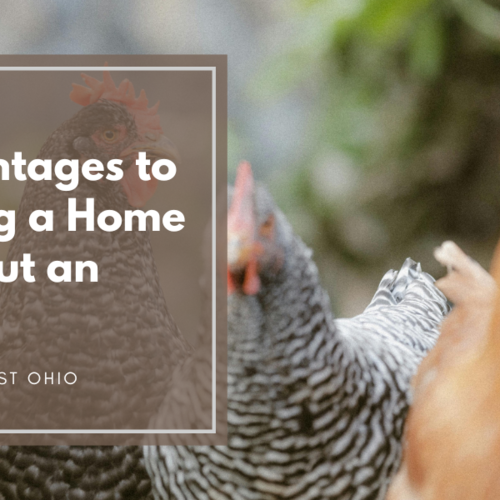 10 Advantages of Buying a Home Without an HOA