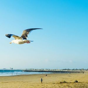 Ocean View Home in South Redondo or West &hellip;