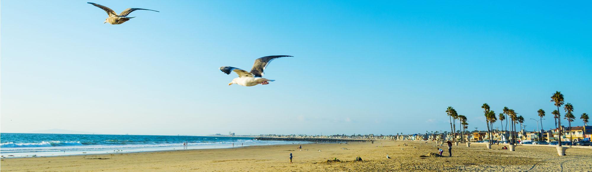 Ocean View Homes South Redonodo Beach, Ocean View Homes in Torrance