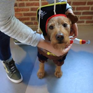 Your Ultimate Guide to Buying Property in the &hellip;