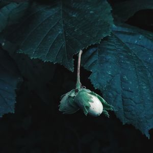 Effective Ways to Eliminate Grubs and Revive Your &hellip;