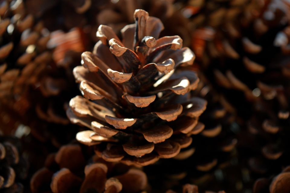 Market Report Cover Image