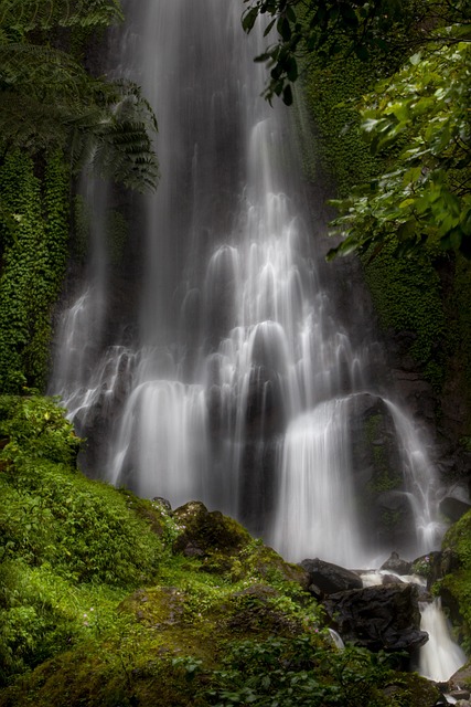 amateurs-waterfall-5229807_640
