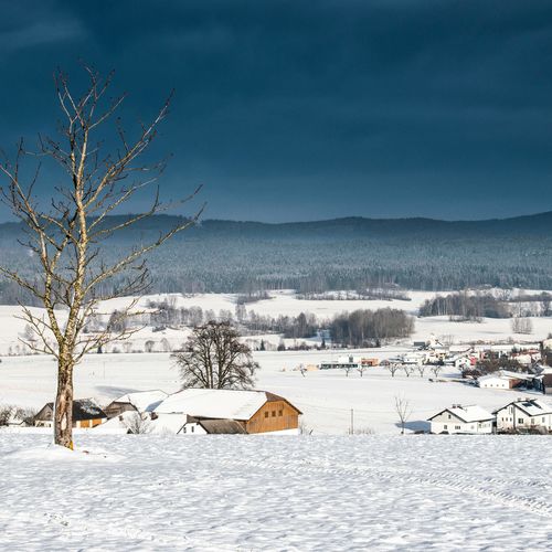 Preparing Your Property for Winter: A Homeowner’s Checklist