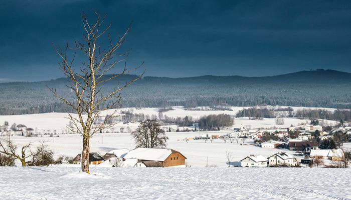 Landscape of a Village Covered in Snow in Winter