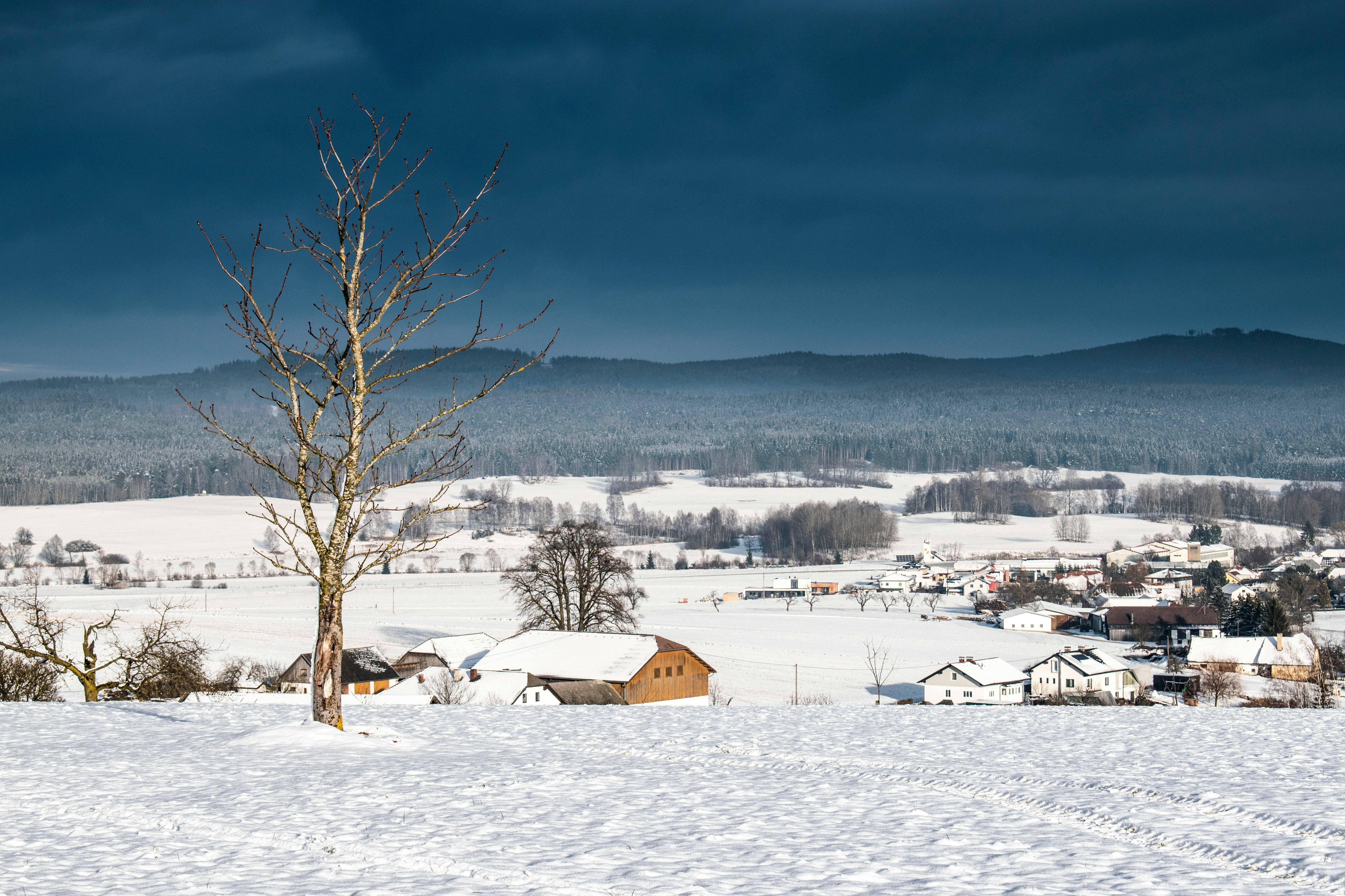 Landscape of a Village Covered in Snow in Winter