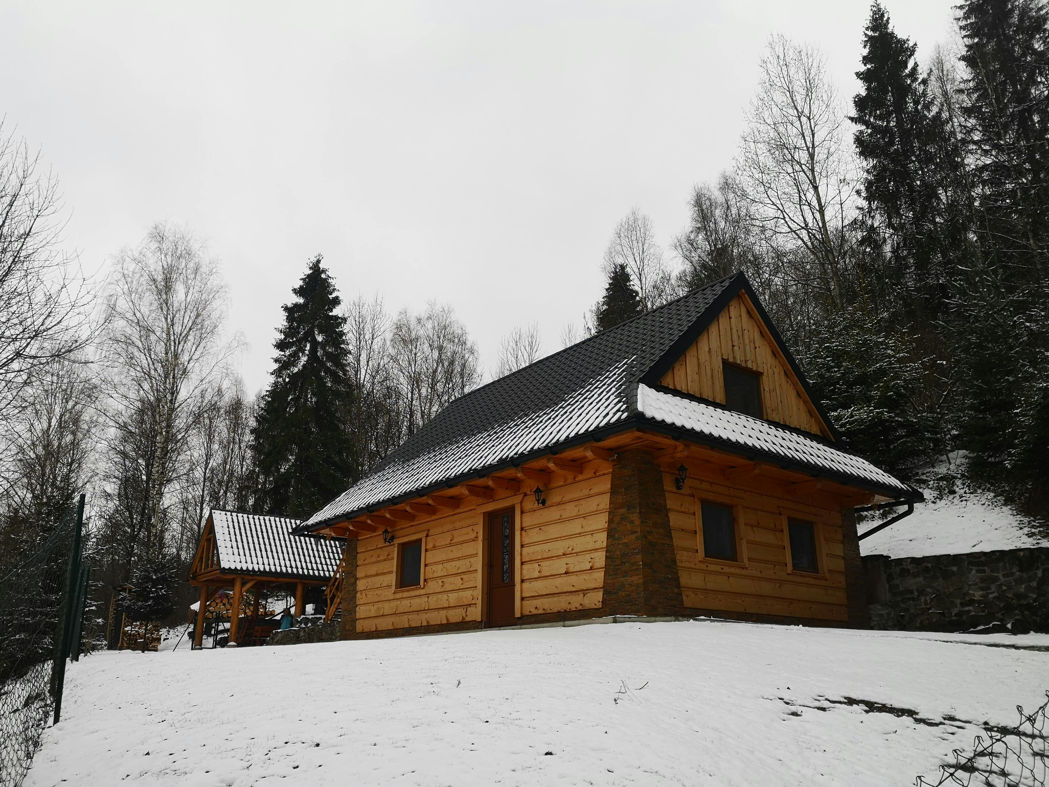 Wooden House in Forest in Winter