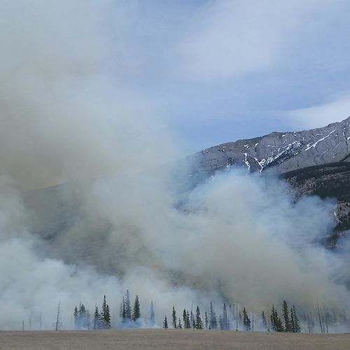 How to Safeguard Your Property: Lessons from Recent Disasters