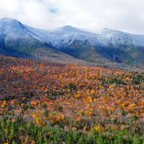 The Best Hiking Spots in the White Mountains This Summer (From a Local Who’s Been There)