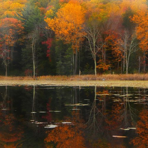 Fall in Massachusetts: The Best Places to Visit and Things to Do