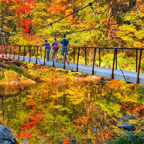 Fall in Connecticut: The Ultimate Guide to Foliage, Scenic Drives, and Seasonal Fun