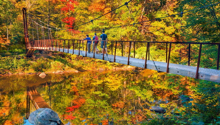 hikers-cross-the-henry-david-thoreau-footbridge-at-hidden-valley-preserve-in-washington-conn.-c2a9romylee