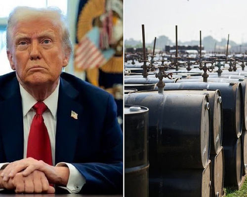 trump oil