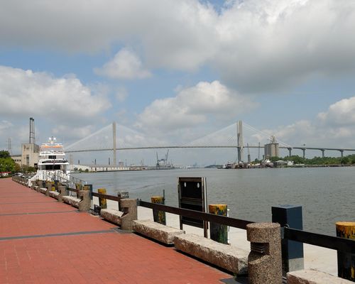 paulbr75-savannah-2082912_1280