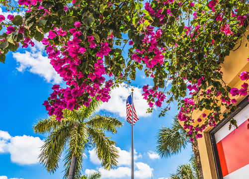 Red-Bougainvillea-US-Flag-Little-Havana-Miami-Florida