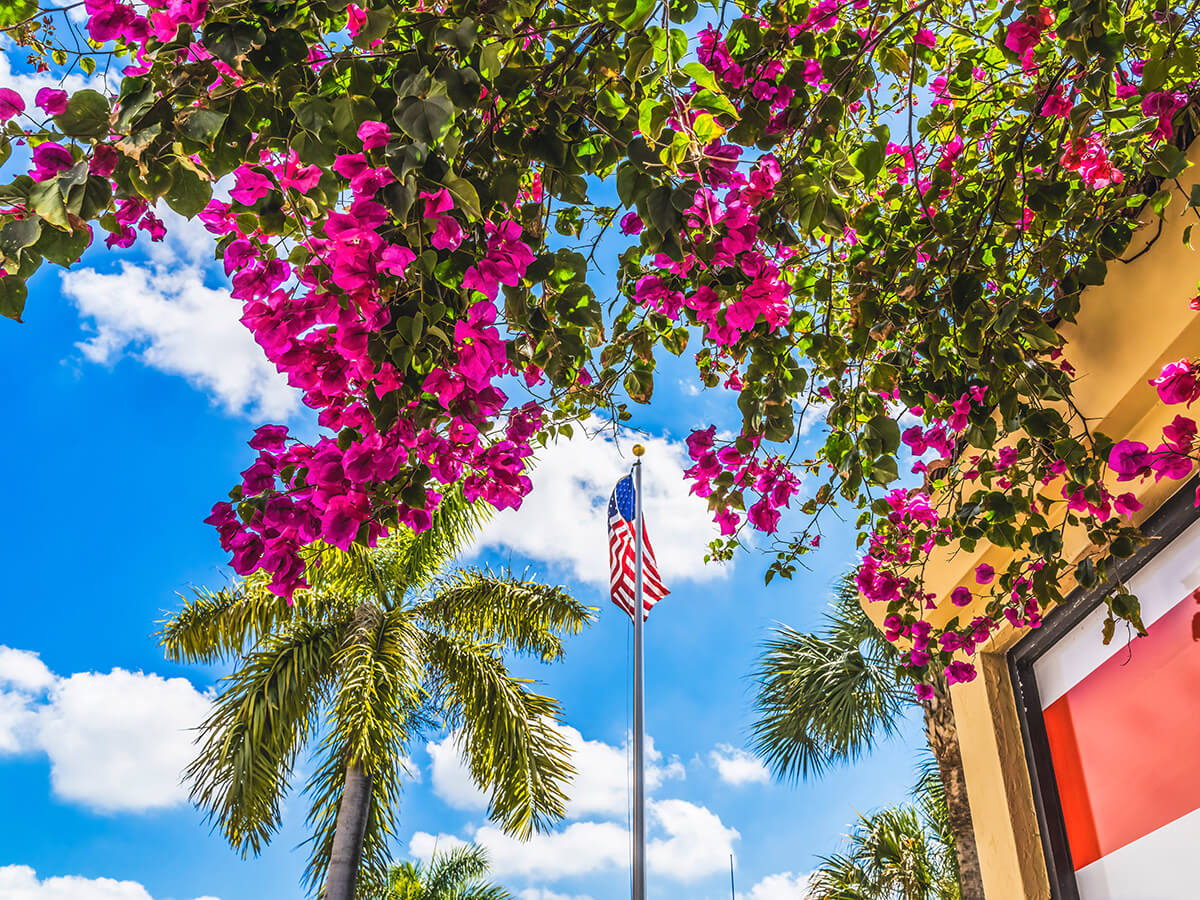 Red-Bougainvillea-US-Flag-Little-Havana-Miami-Florida