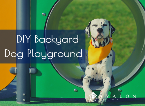 DIY Backyard Dog Playground