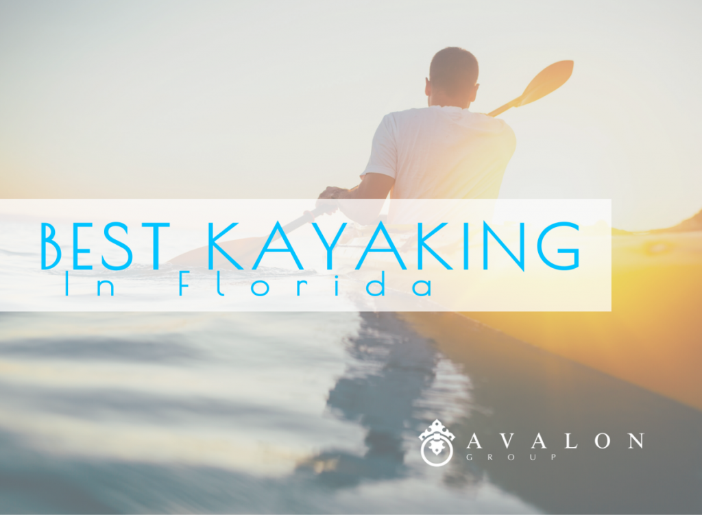 Best Kayaking in Florida AVALON Group Real Estate Agents