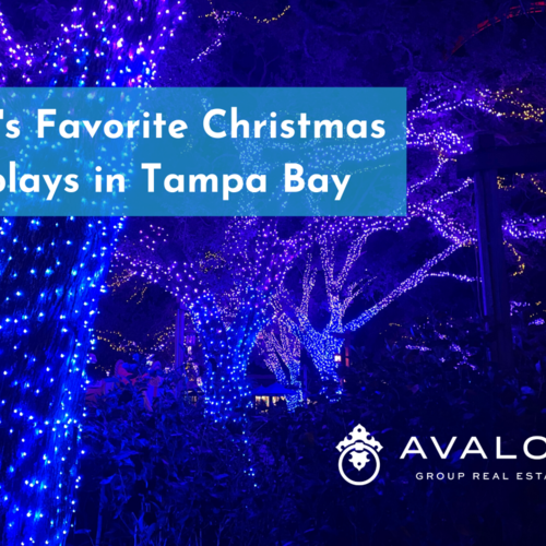 Favorite Christmas Displays in Tampa Bay