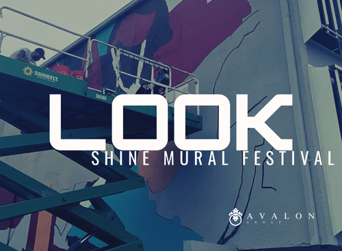 Shine Mural Festival St. Petersburg FL