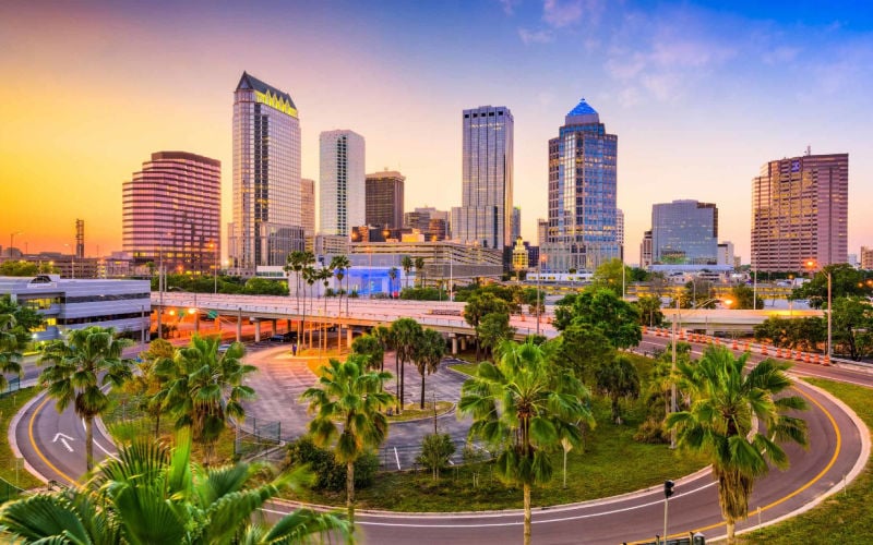 Tampa FL Realtor