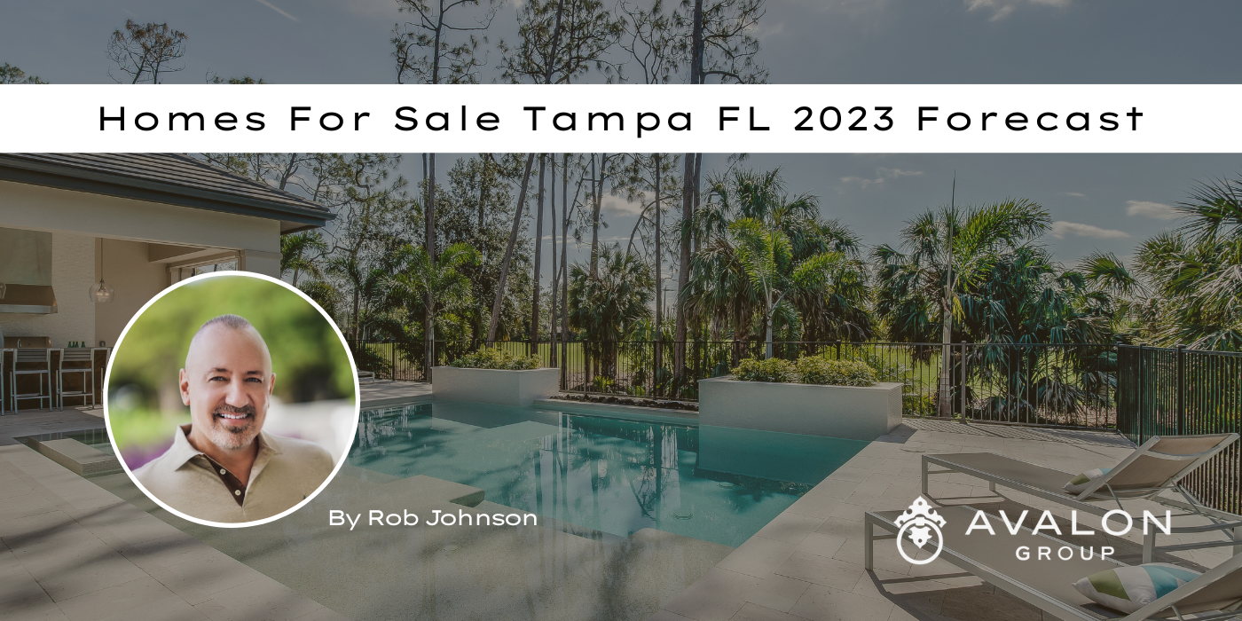 Homes For Sale Tampa FL Cover pic has a pool home in the background and a picture of the Author.