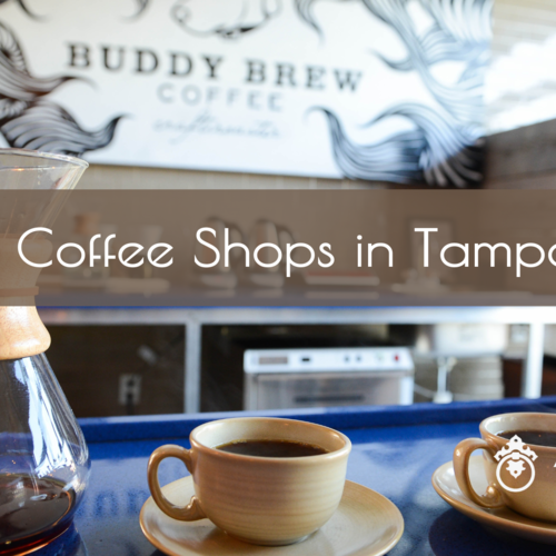 Cozy coffee shops in Tampa Bay