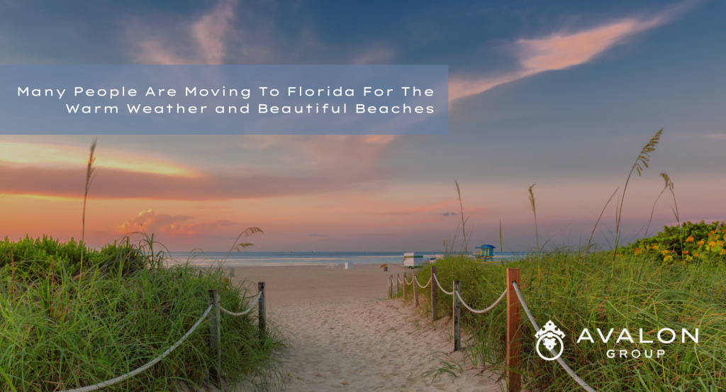 High Housing Costs Driving Relocation To Florida Because of The Warmer Weather. Additionally, there is a picture of a Florida beach in the background. The sky is pink with a sunset over the water.