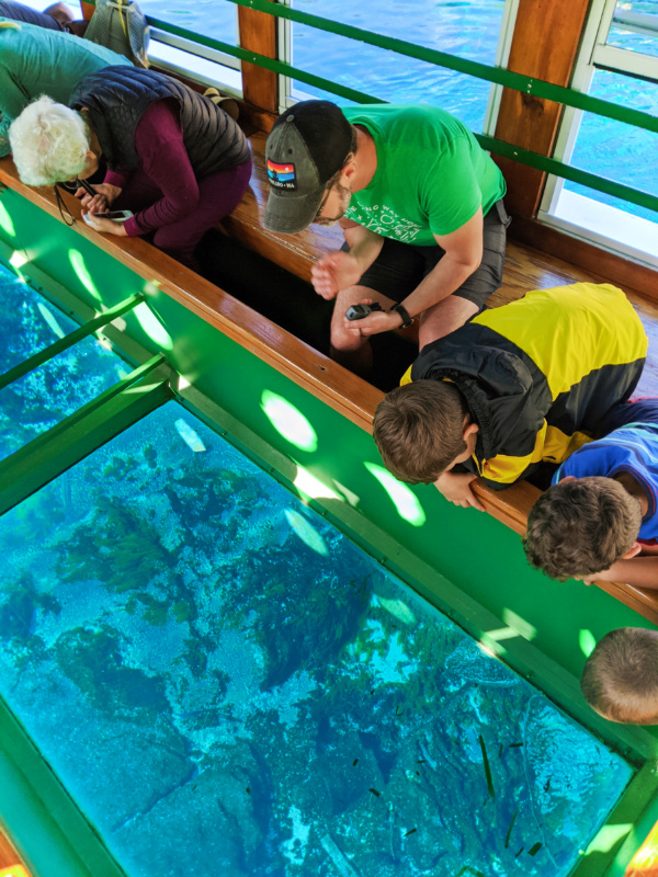 Silver Springs Glass Bottom Boat.  The boat is green and there is a little boy with a yellow shirt looking through the glass.