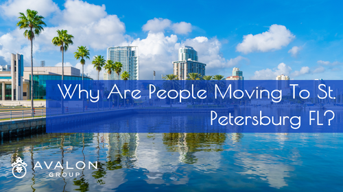 Why Are People Moving To St Petersburg